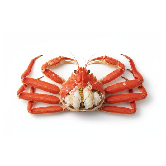 北海道産ズワイガニ 特大サイズ 1kg